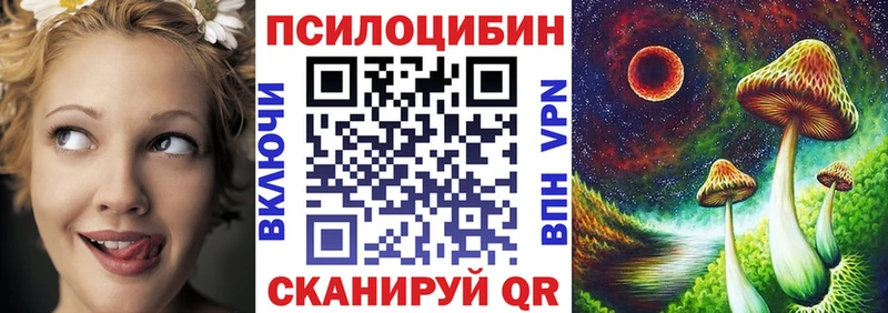 Псилоцибиновые грибы Psilocybine cubensis  Поворино 